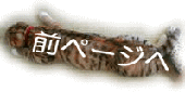Õy[Wւ̃N{^